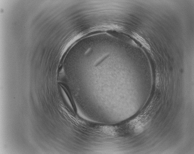 X0000059041226200510171840