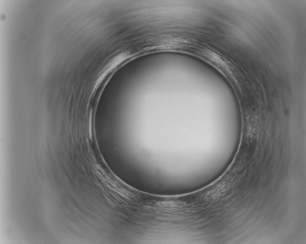 X0000059041227200510171840