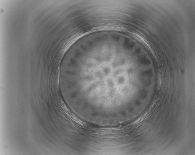 X0000059041228200510171840