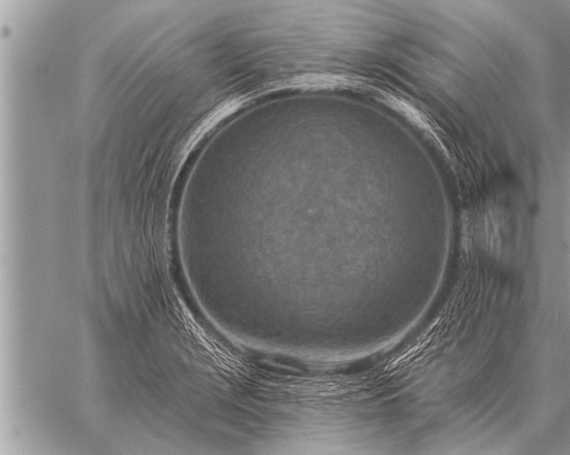 X0000059041229200510171840