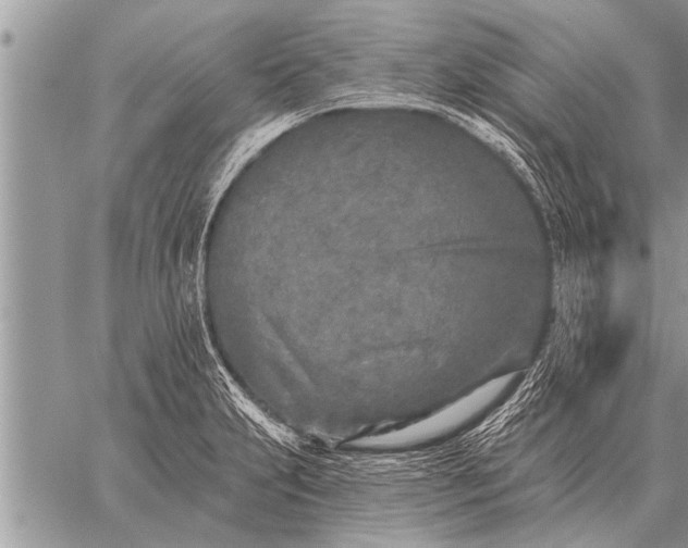 X0000059041231200510171840