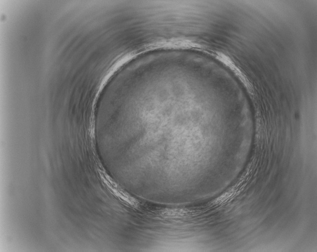 X0000059041232200510171840