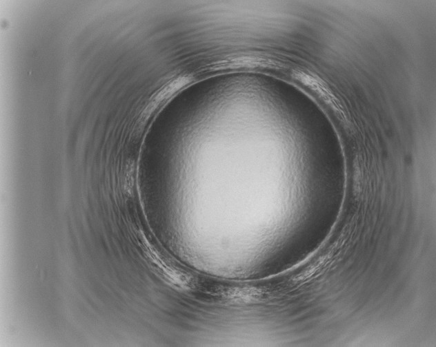 X0000059041233200510171840