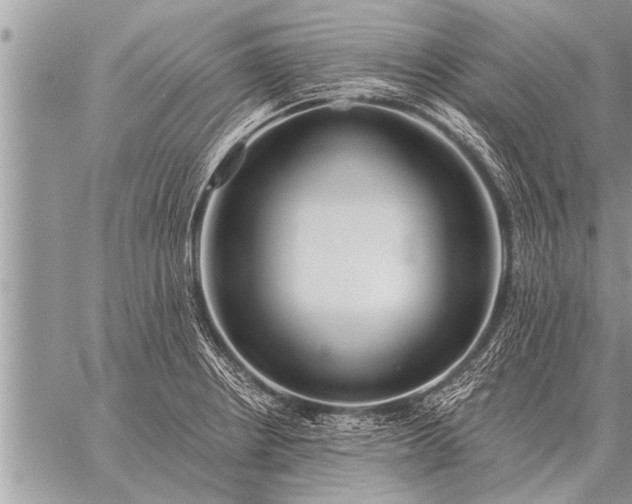 X0000059041234200510171840