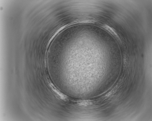 X0000059041236200510171840