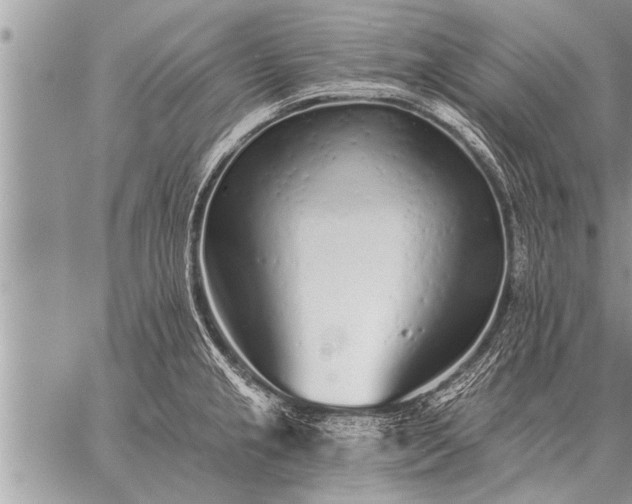 X0000059041237200510171840