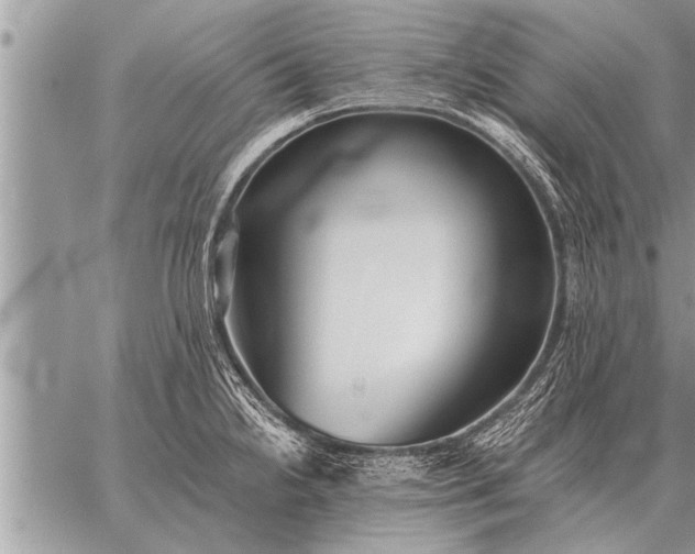 X0000059041238200510171840