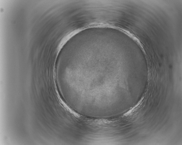 X0000059041239200510171840