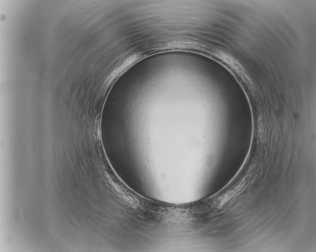 X0000059041241200510171840