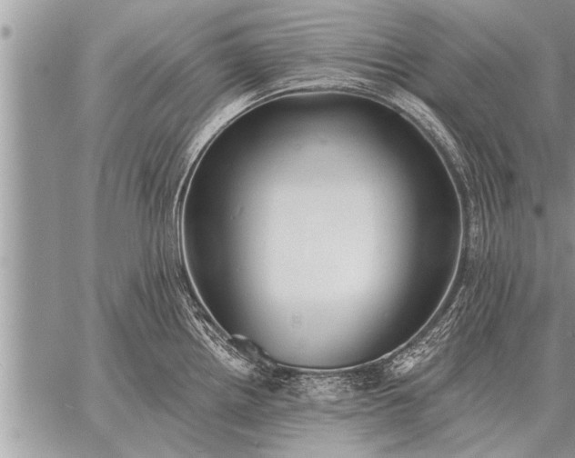 X0000059041242200510171840