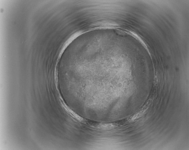 X0000059041243200510171840