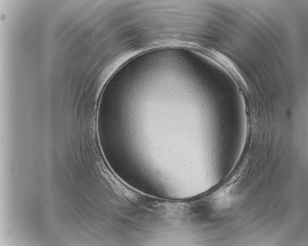 X0000059041244200510171840