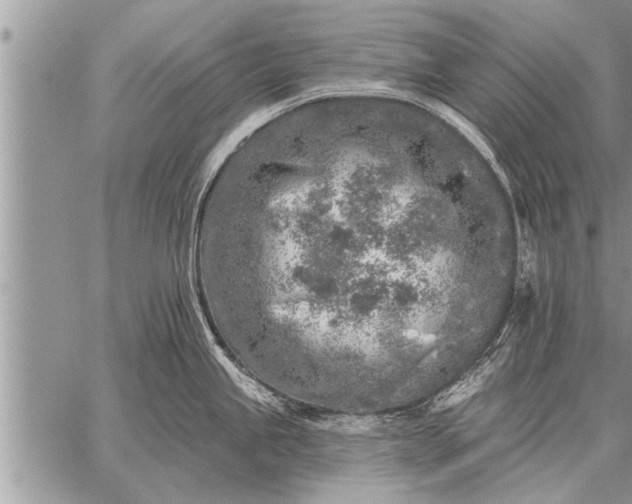 X0000059041245200510171840