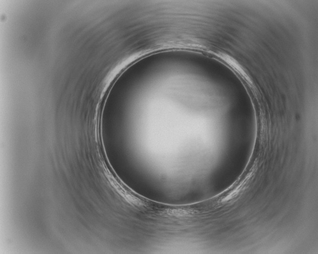 X0000059041246200510171840