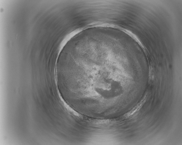 X0000059041247200510171840