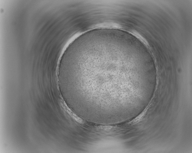 X0000059041248200510171840