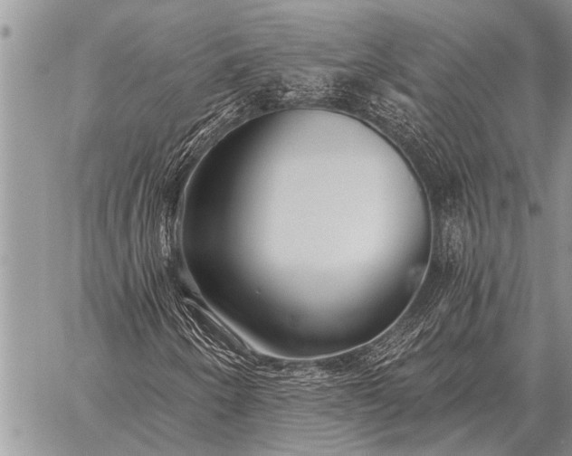 X0000059041250200510171840