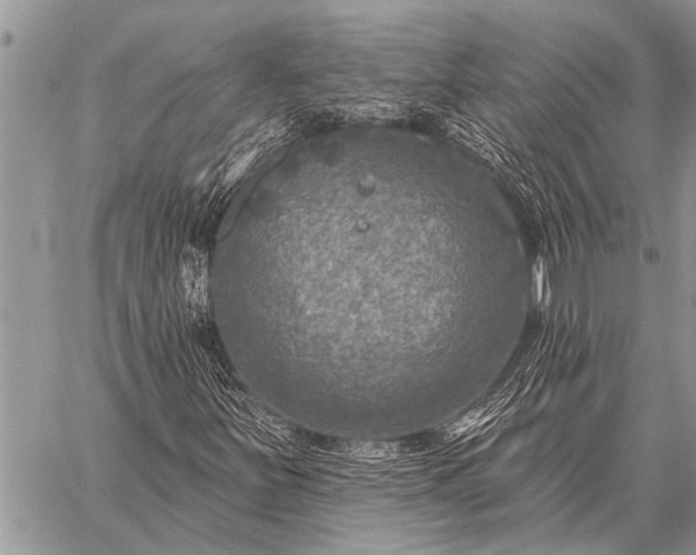 X0000059041251200510171840