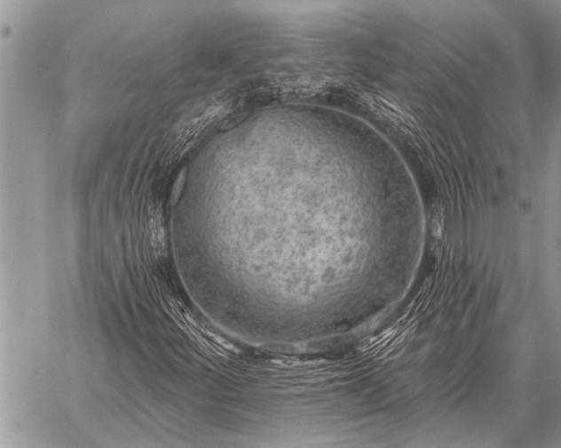 X0000059041252200510171840