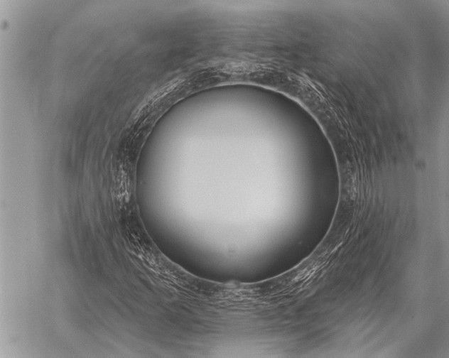 X0000059041253200510171840