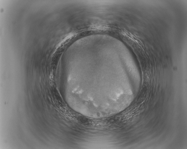 X0000059041254200510171840