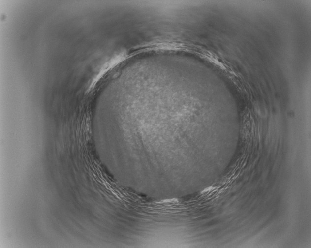 X0000059041255200510171840