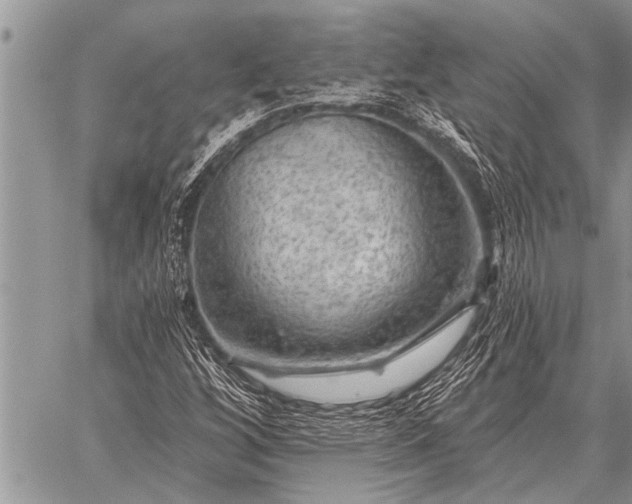 X0000059041256200510171840