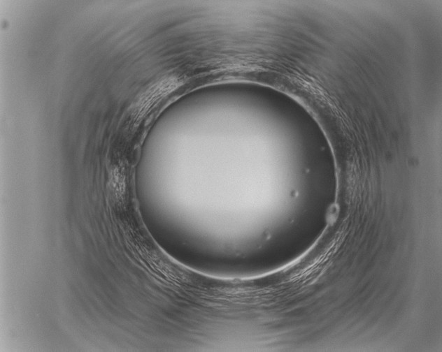 X0000059041257200510171840