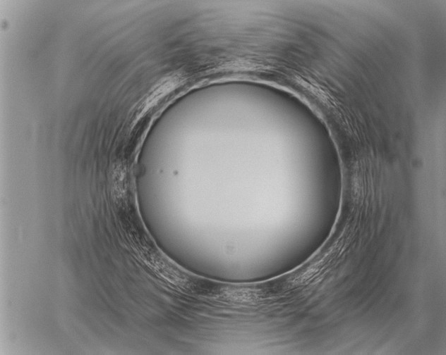 X0000059041258200510171840