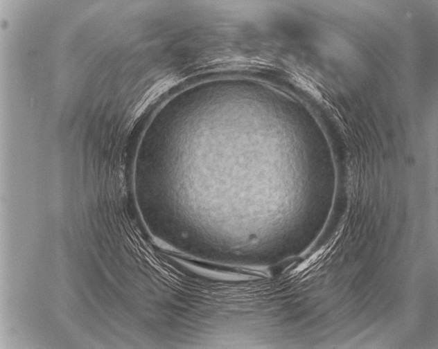 X0000059041259200510171840