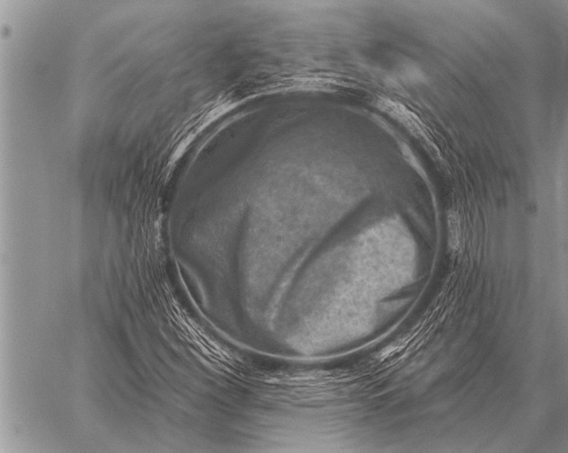 X0000059041260200510171840