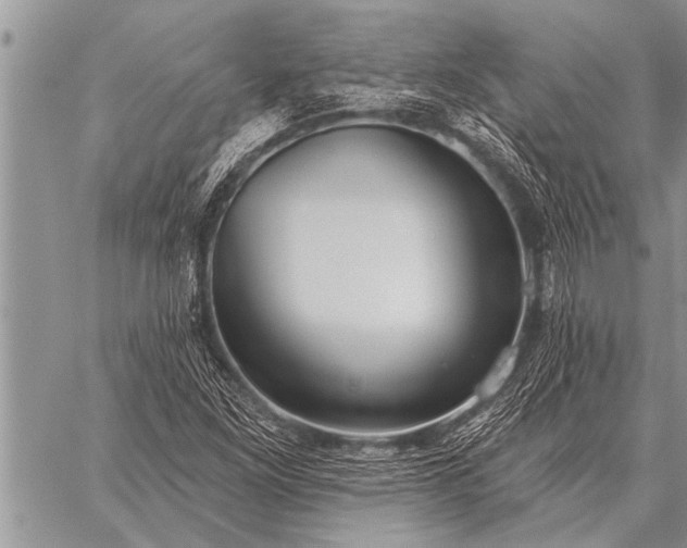 X0000059041261200510171839