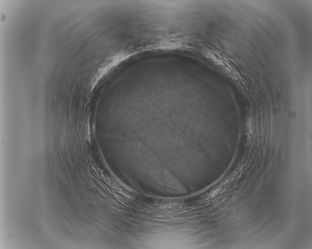 X0000059041262200510171839