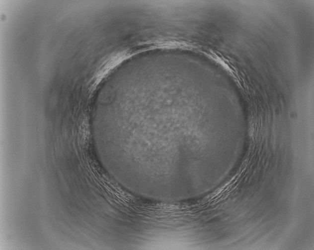 X0000059041263200510171839