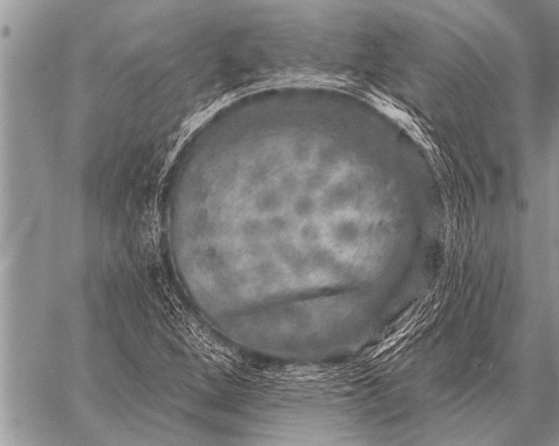 X0000059041264200510171839