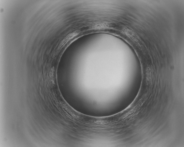 X0000059041265200510171839