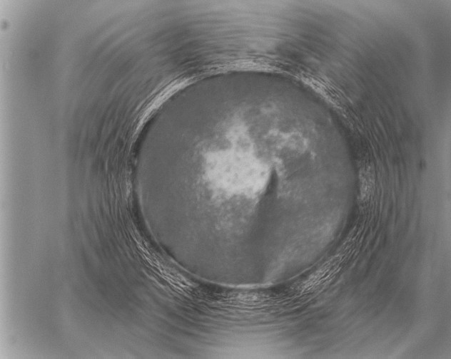 X0000059041266200510171839