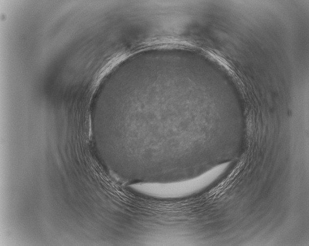 X0000059041267200510171839