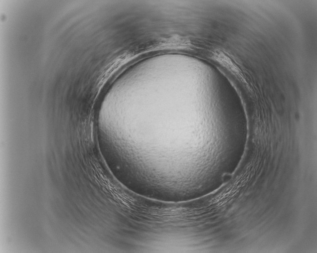 X0000059041268200510171839