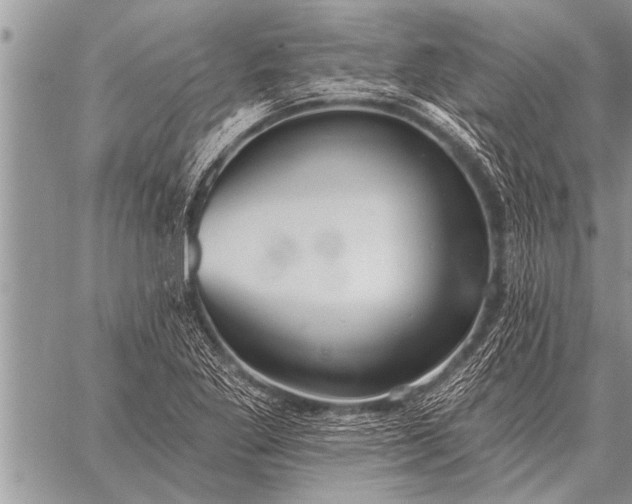 X0000059041269200510171839