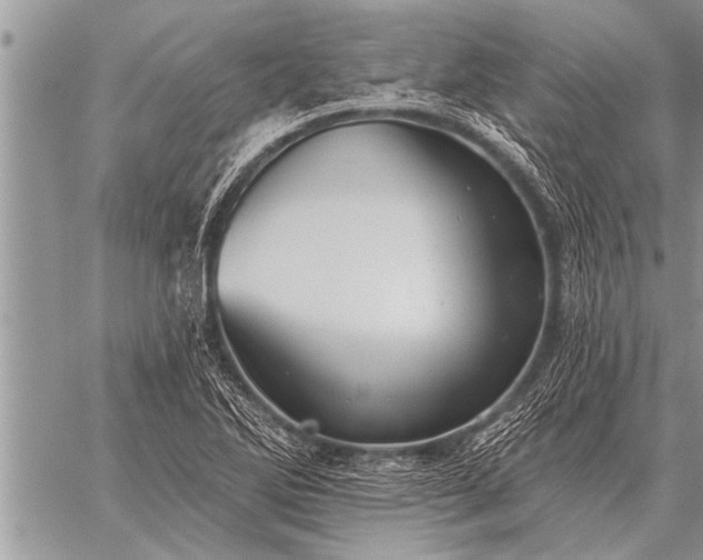 X0000059041270200510171839