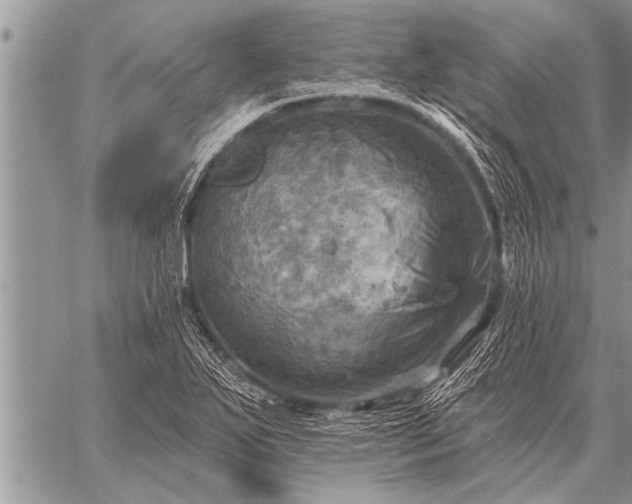 X0000059041271200510171839