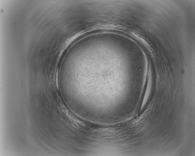 X0000059041272200510171839