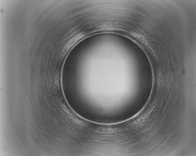 X0000059041273200510171839