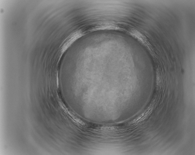 X0000059041274200510171839