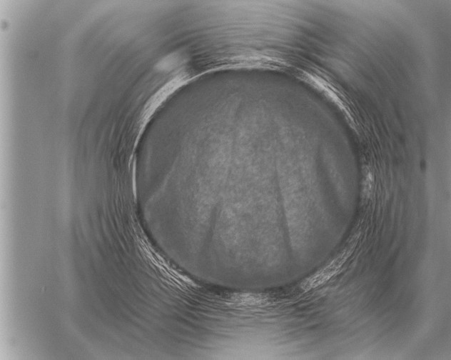 X0000059041275200510171839