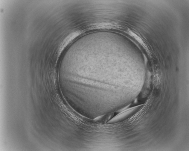 X0000059041277200510171839