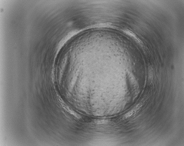 X0000059041278200510171839