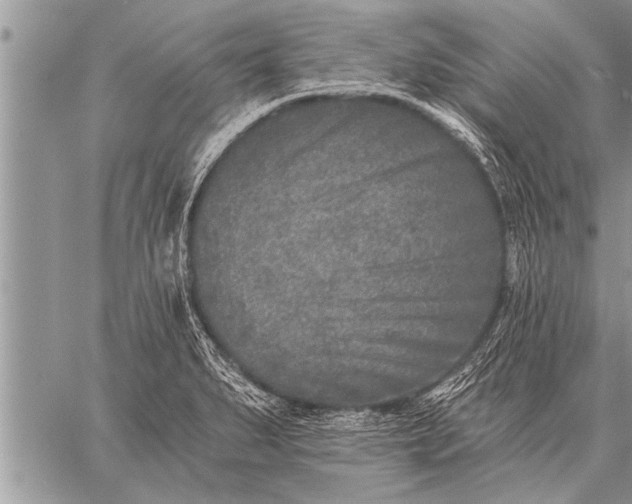 X0000059041279200510171839