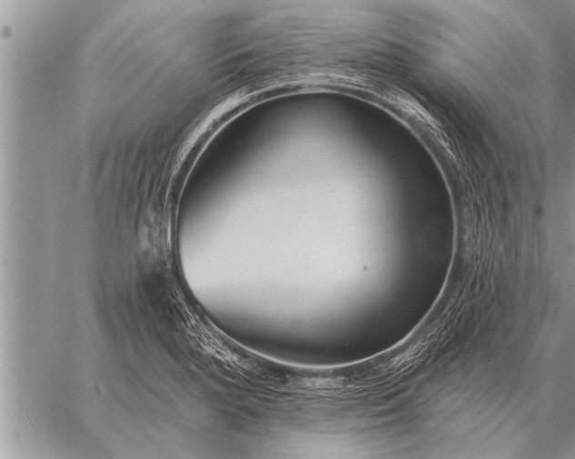 X0000059041280200510171839